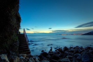世界短跑线上训练平台暑秋集训营学员提效报告发布，世界短跑视频教程