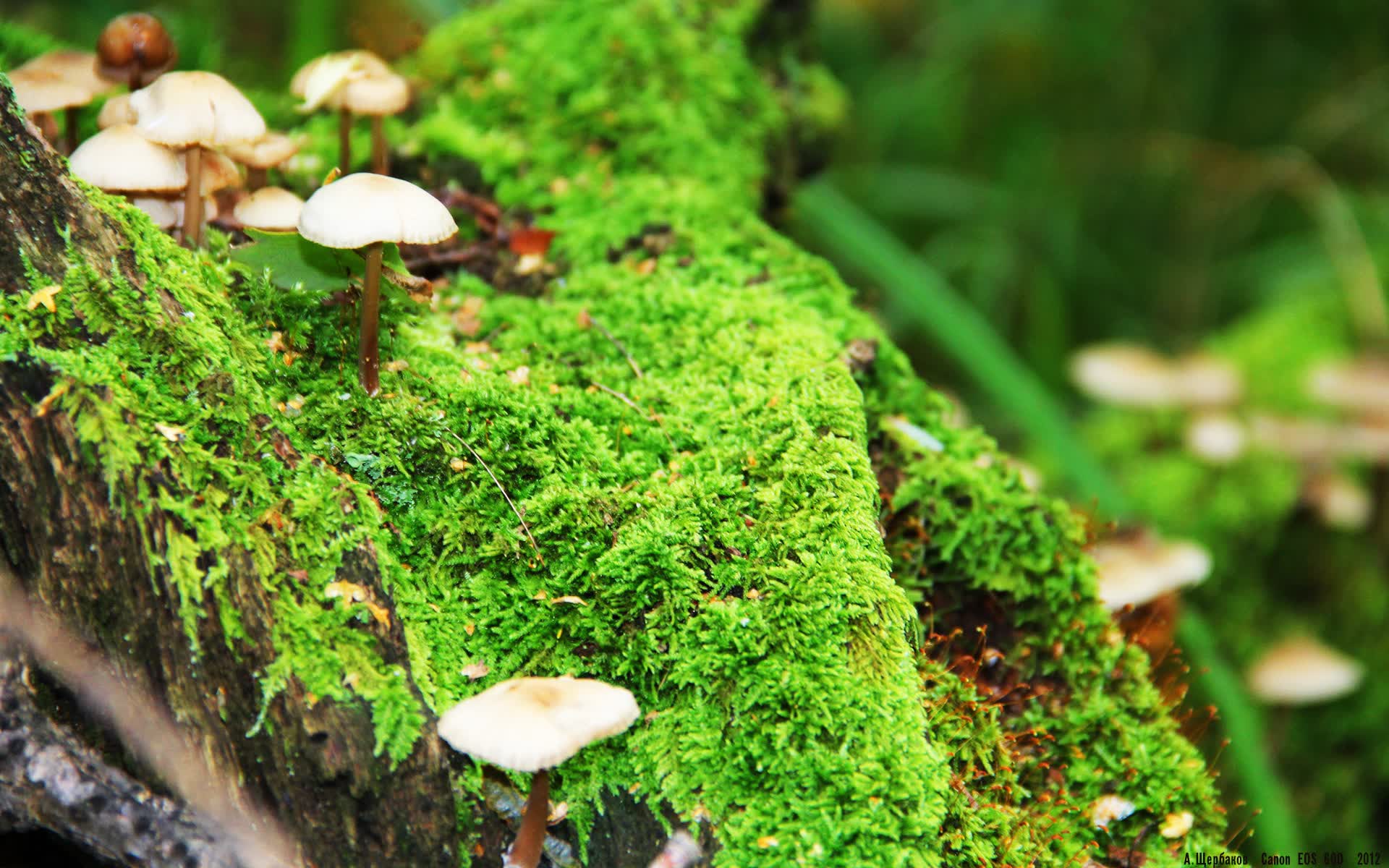 世界游艇青年赛赛事志愿者国际荣誉榜第二版发布,游艇设计比赛